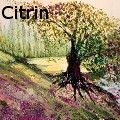 Ione Citrin -  - Oil Painting