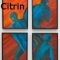 Ione Citrin -  - Acrylics